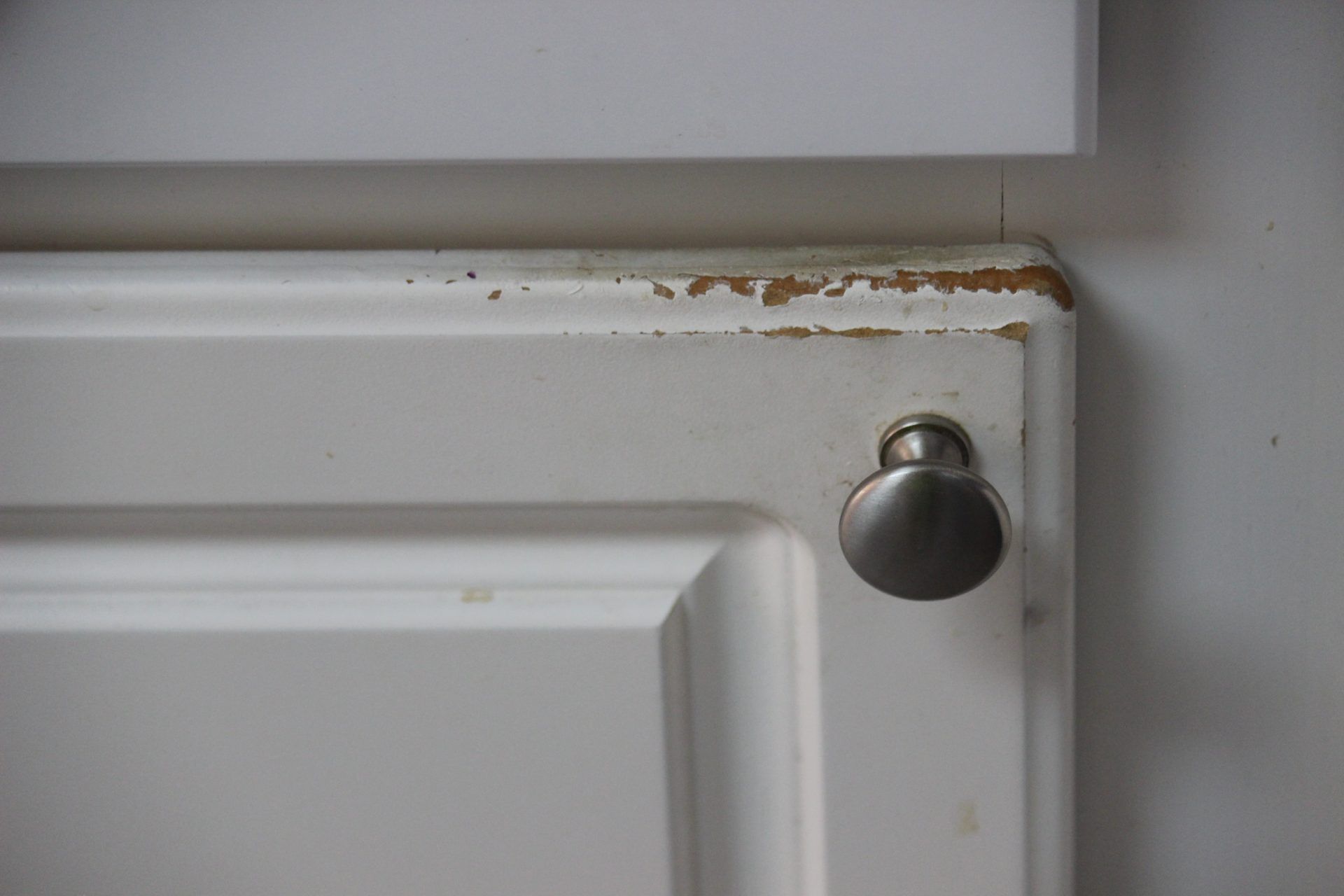 Particle Board Water Damage: Dos and Don'ts